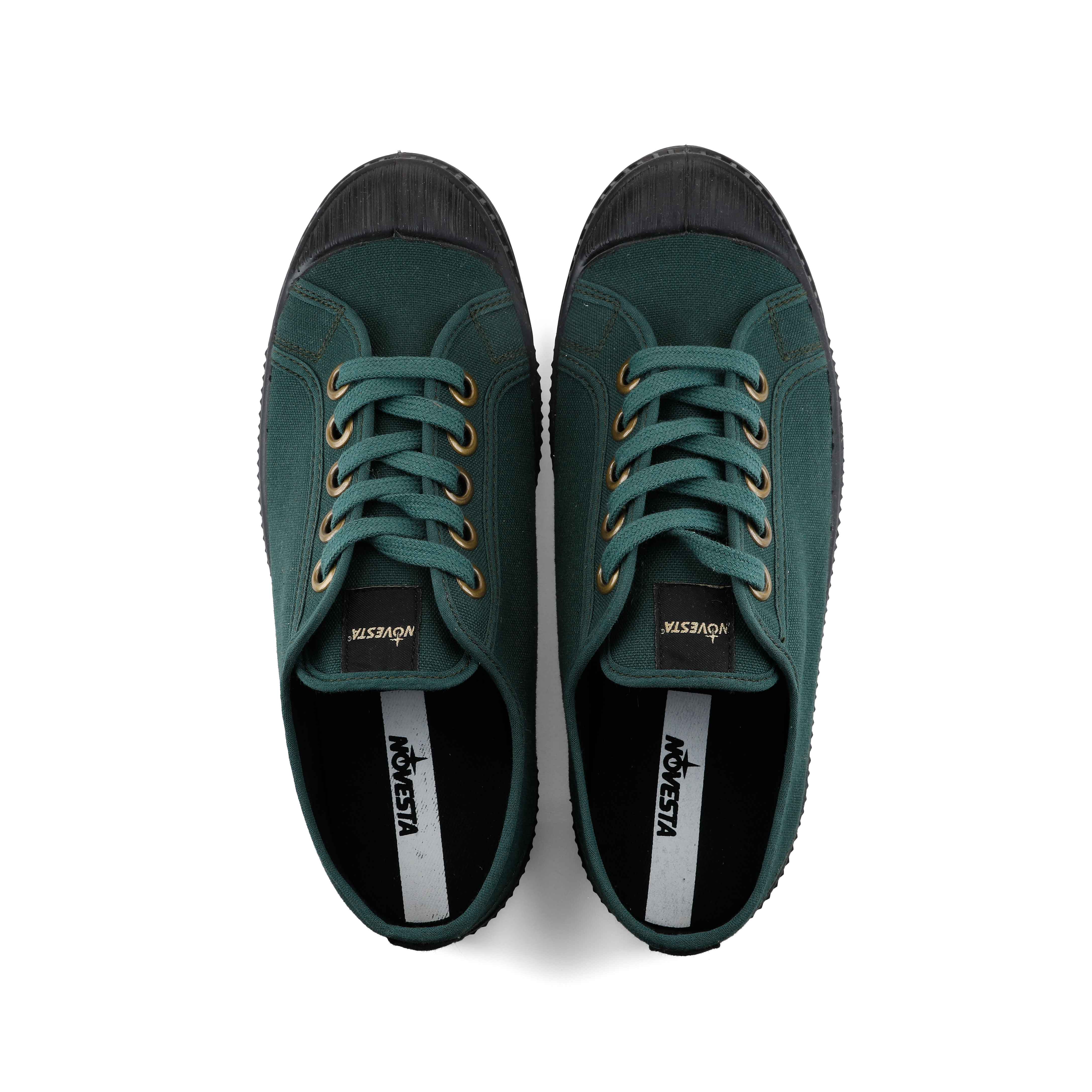 Image de Star Master Sycamore